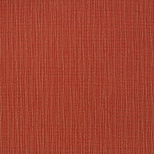 Poppy Swatch Teaser